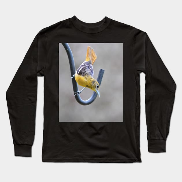 "Where's the feeder....?" Long Sleeve T-Shirt by LaurieMinor